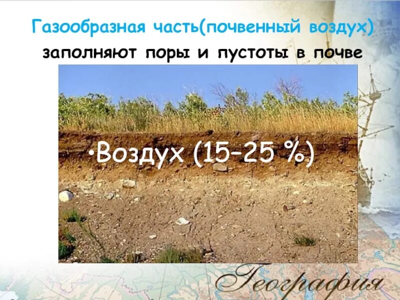 Почвенный воздух. Воздух в почве. Воздушный режим почвы. Почвенный воздух и воздушный режим почв.