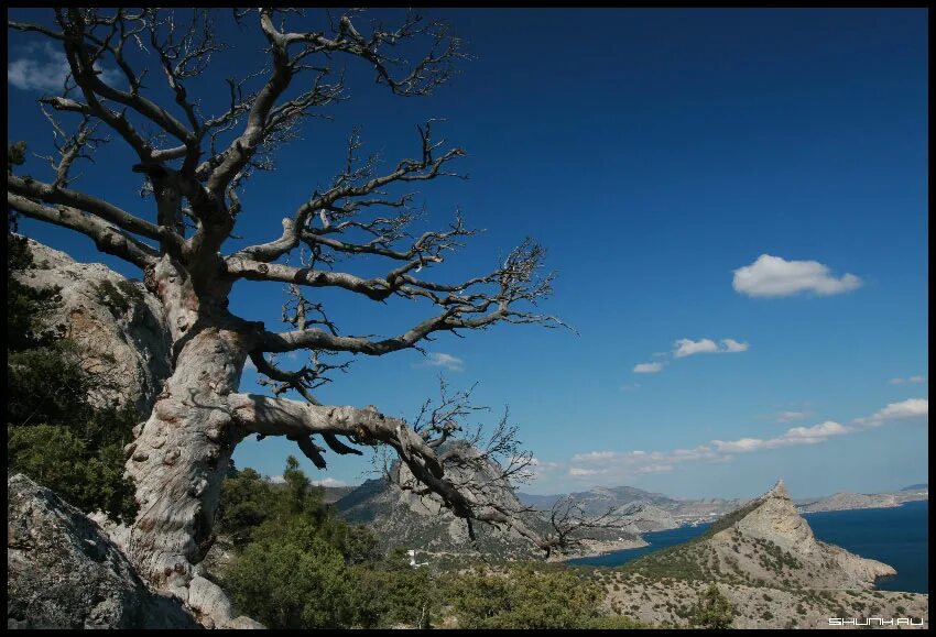 Weather forecast in Crimea for October 23. On the peninsula cloudy weather with 
