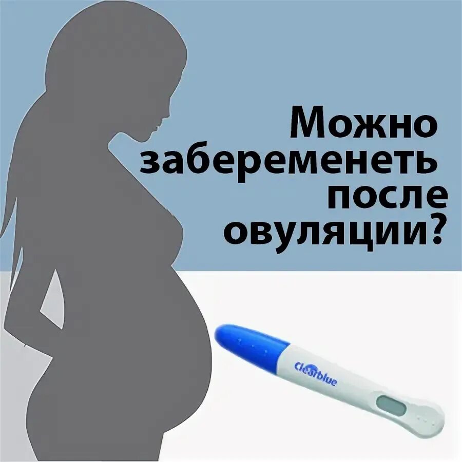Можно ли забеременеть от члена. Можно ли зачать после овуляции. Беременность после овуляции возможна. Овуляция и беременность. Можно ли забеременеть после овуляции.
