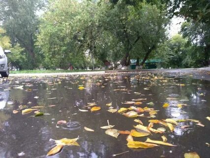 Осадки в тюмени