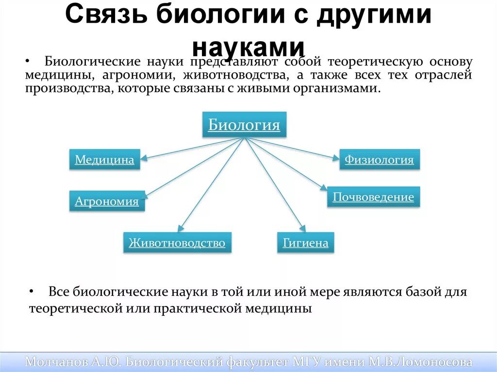 Науки связанные с методикой. Связь биологии с другими науками кратко. Связь биологии с другими науками таблица. Связь биологии с другими науками 5 класс. Схема интеграции биологии с другими науками.