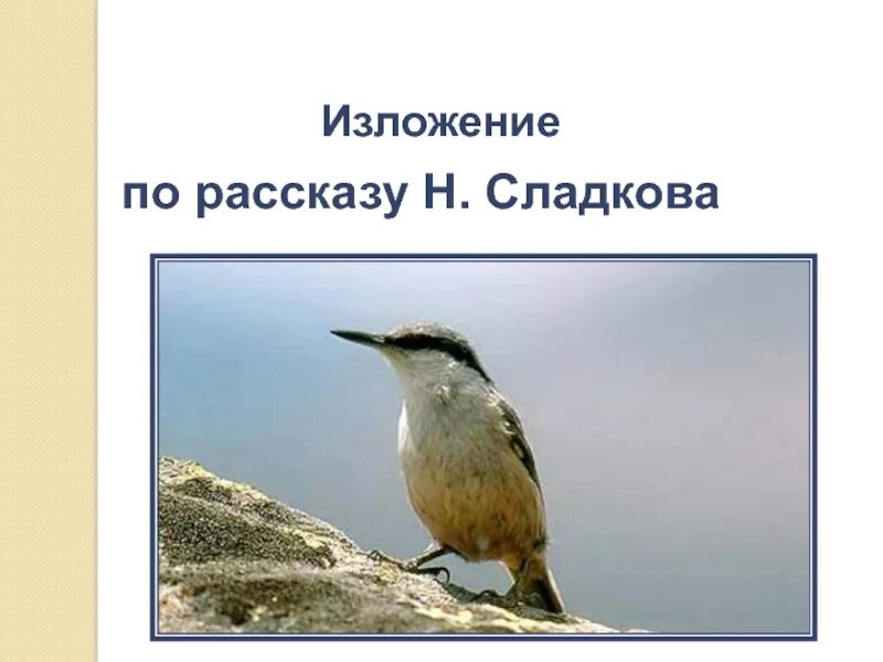 Изложение сладков. Изложение 4 класс н.сладков поползень. изложение к рассказу сладкова. план по рассказу сладкова в ущелье гор тревога.