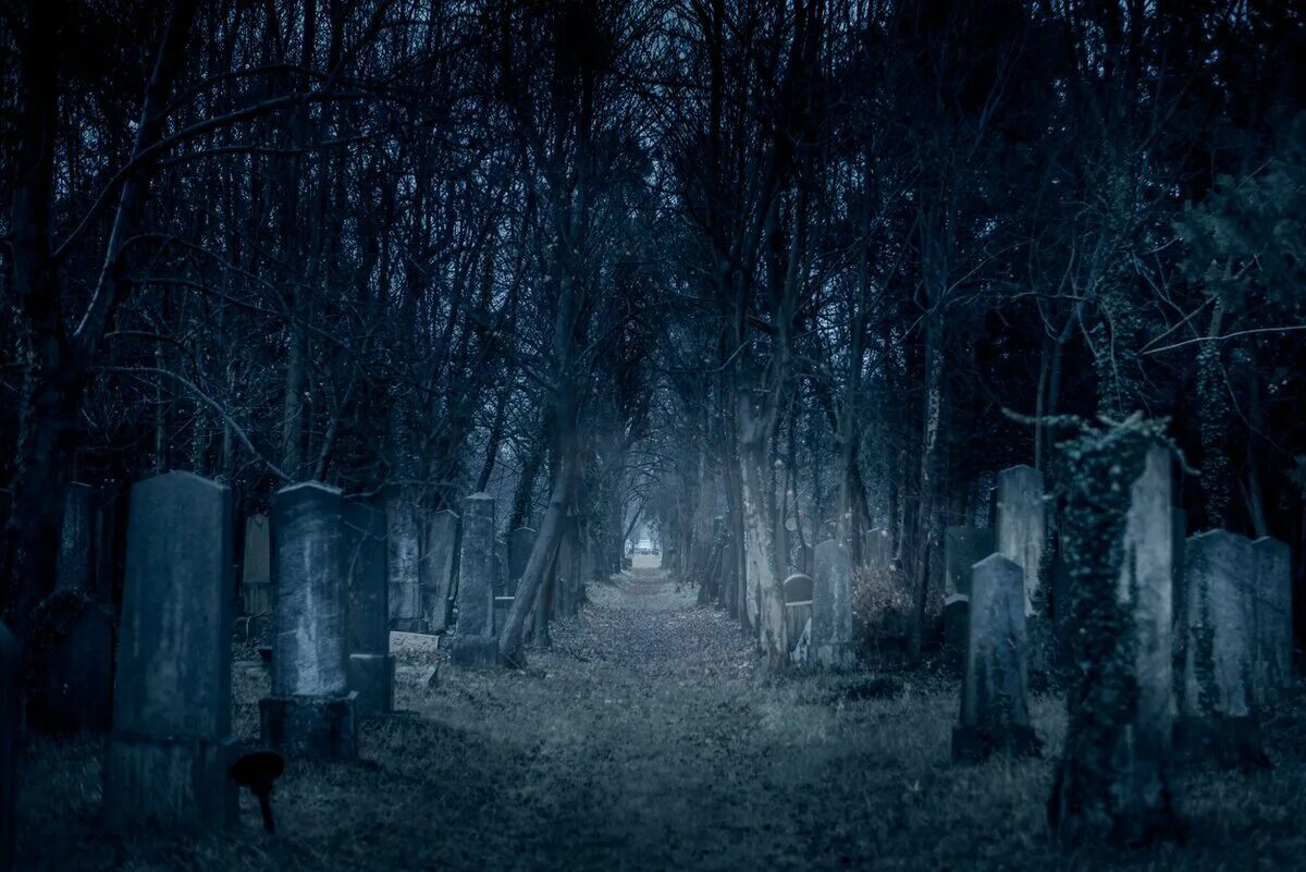 Кладбище гача лайф фон. Кладбище темное. Зловещее кладбище. Кладбищенские истории читать