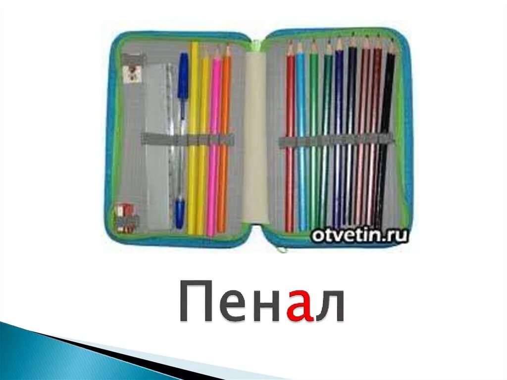 Темы для пеналов. Карандаши сложены в пенал. Пенал меня пенал. Пенал с карандашами для фотошоп.