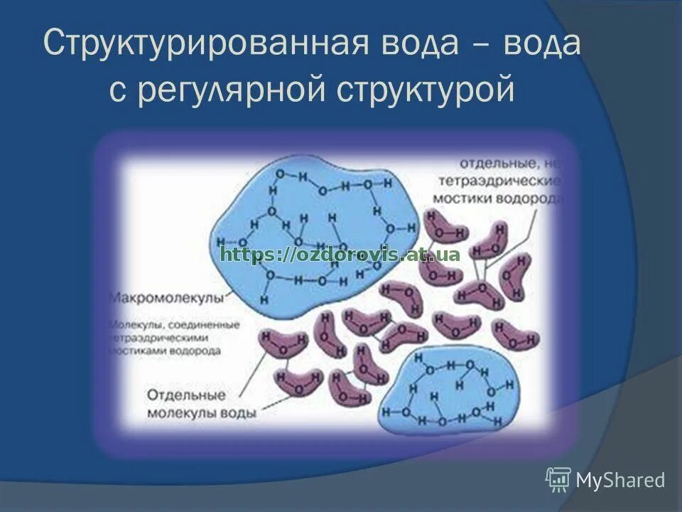 Структурированная вода. Вода Структурированная вода. Структуризация воды. Структура структурированной воды.