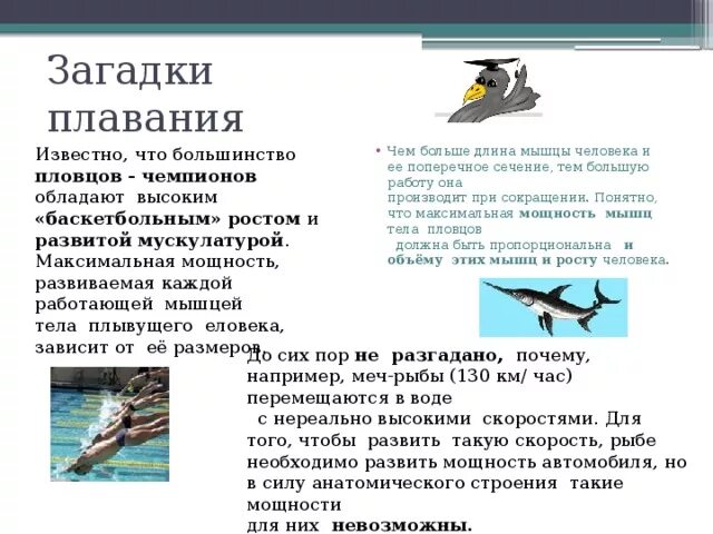 Загадка плавать. Загадки про плавание. загадка про плавание для детей. загадка про плавать. загадка про пловца для детей.