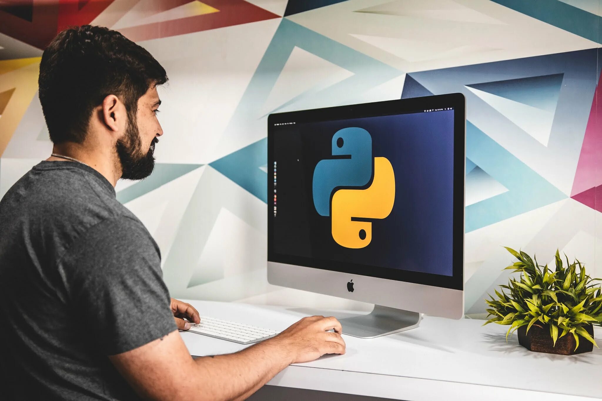 Python разработчик обучение. Программист пайтон. питон программирование. программист питон. python разработчик.