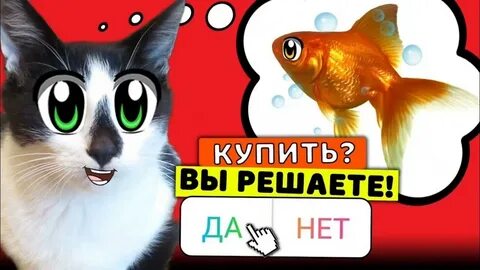 А ну ка никитка поиграй