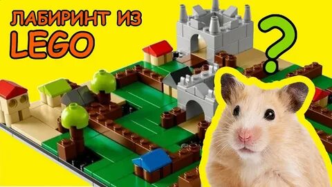 Хомячок лабиринты слайм