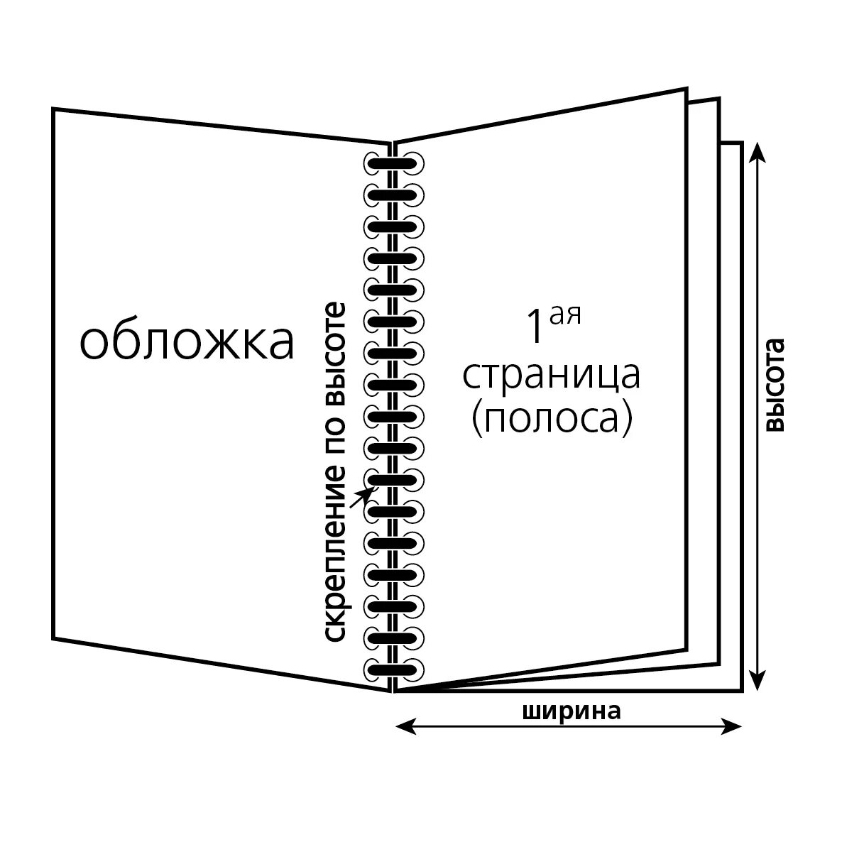 Альбомы сколько листов. Макет книжной обложки. Брошюра схема. Формат обложки книги. Брошюра Формат книги.