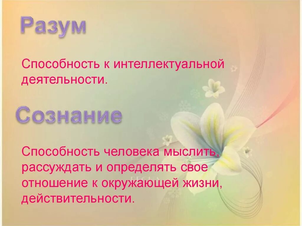 Социально духовно развитый