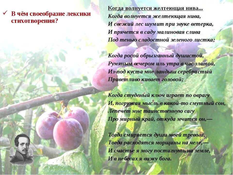 Лермонтов "когда волнуется желтеющая Нива..." (1837 Г.). Стихотворение пока волнуется желтеющая Нива. Стихотворение Лермонтова желтеющая Нива. Стихотворение Лермонтова когда волнуется желтеющая Нива.