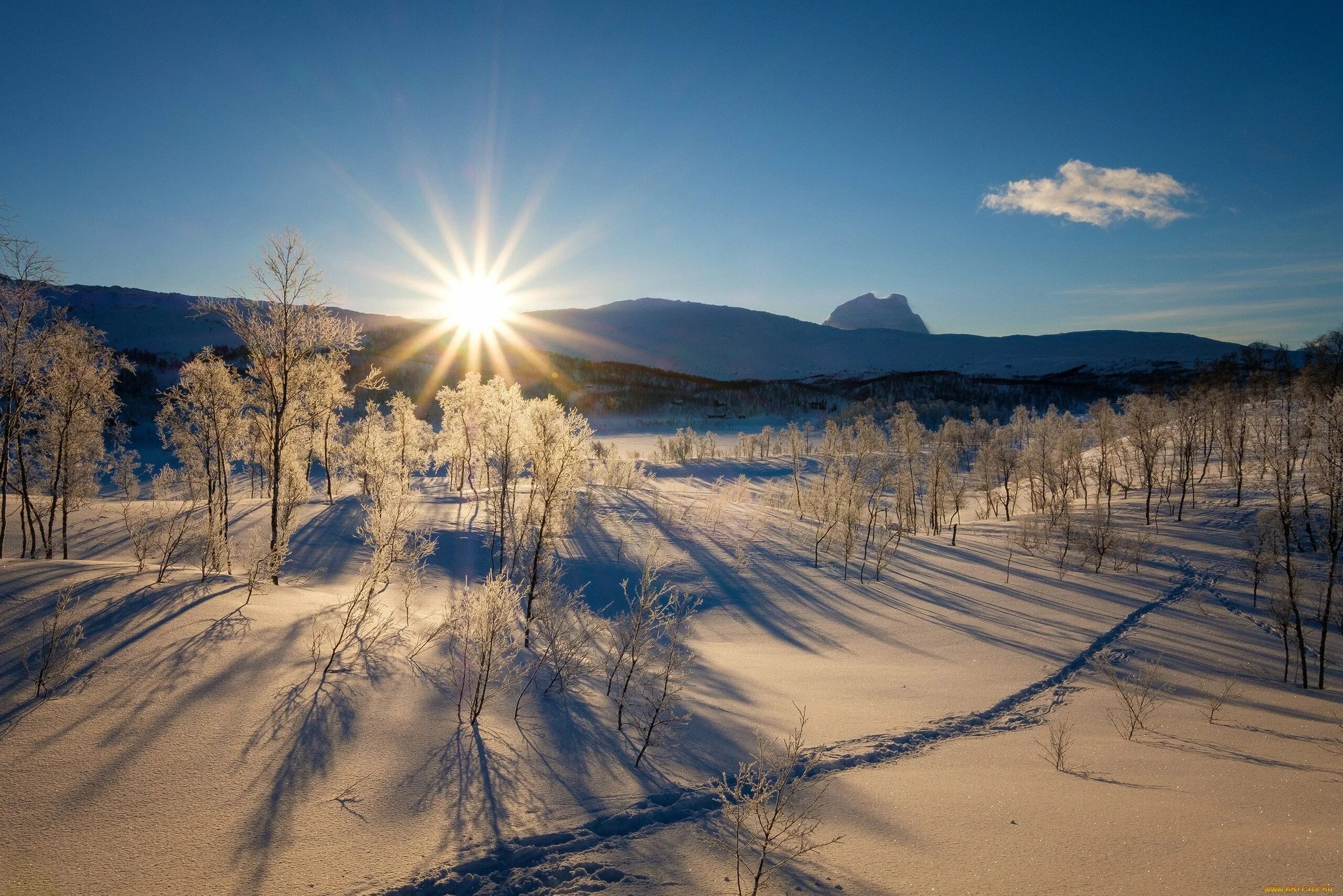 Зимнее утро картинки. Зимний рассвет. Солнце зимой. Природа зима. Восход зимой.