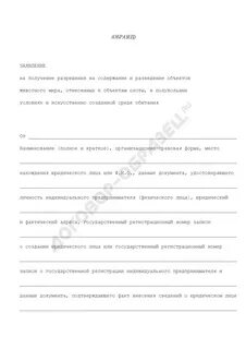 Содержание разрешение