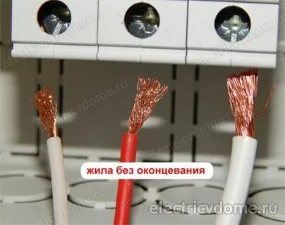 Монолитная жила