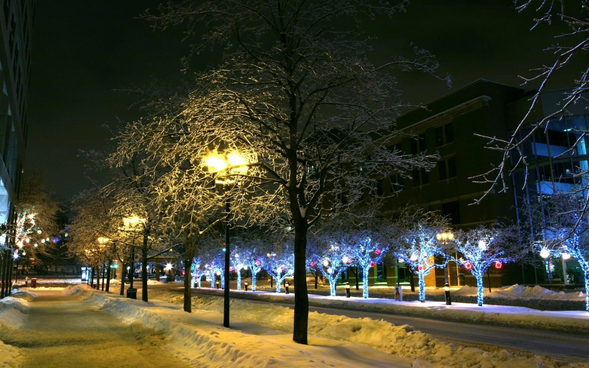 New years night. Ночной зимний город. Зимняя ночь в городе. Ночной город зимой. Зима вечер город.