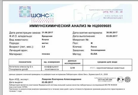 Коронавирус рязань область