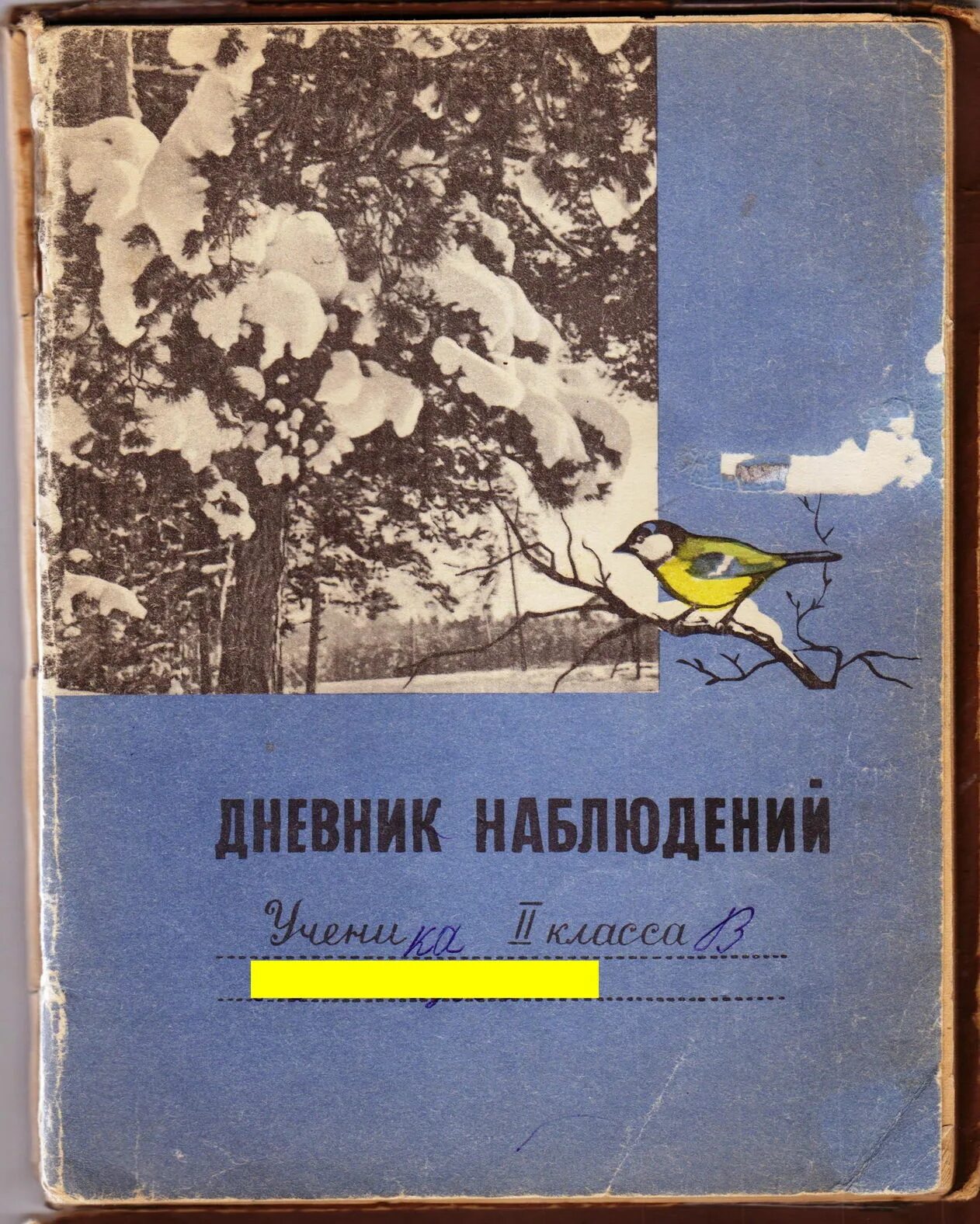 Дневник наблюдения солнца. Дневник наблюдений. Дневник наблюдений обложка. Дневник наблюдений 1 класс. Тетрадь наблюдений за природой.