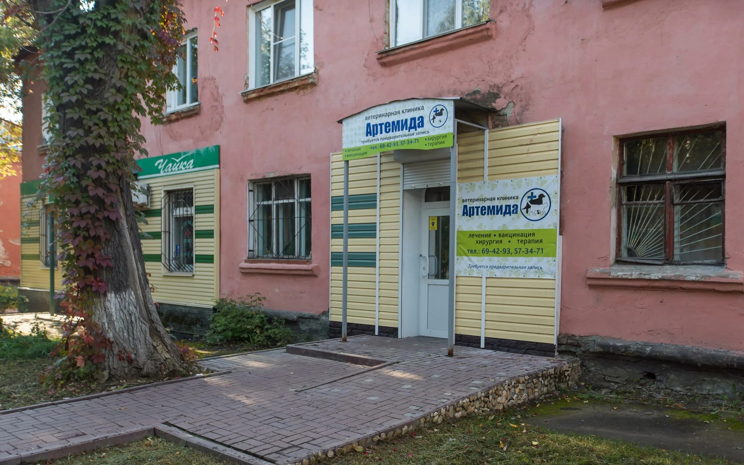 Гомеовет интернет магазин ветеринарная аптека для животных. Ветеринарная клиника Барнаул.