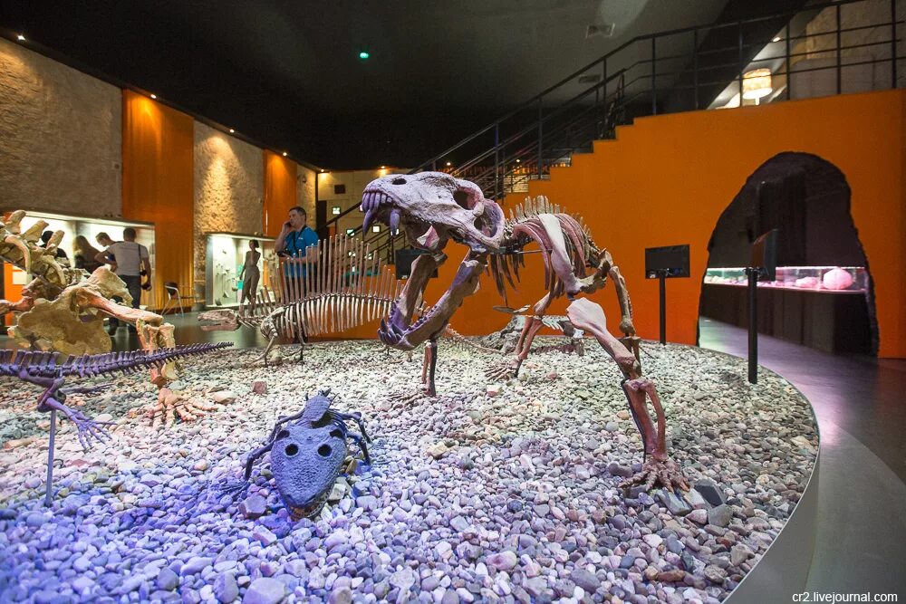 Музей пермских древностей в перми. Музей мамонта пермь. Краеведческий музей пермь мамонт. Мамонт в пермском краеведческом музее. Музей древностей пермь.