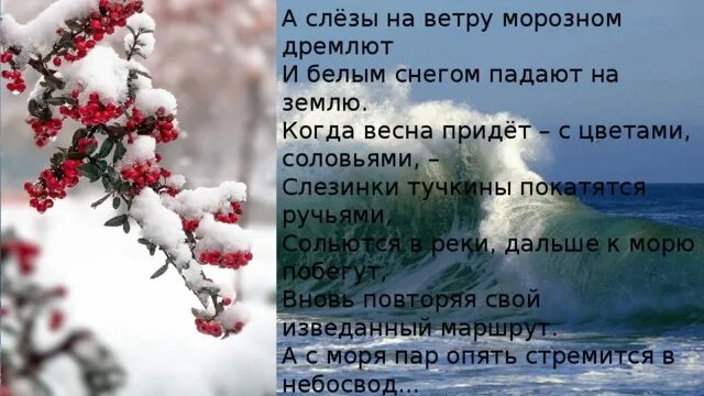 Песня слезы ветра. Падающая слеза. Слезы людские о слезы людские. Мои слёзы на землю не упадут. Чужие слезы на землю не падают.