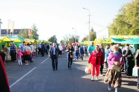 Задонск сегодня