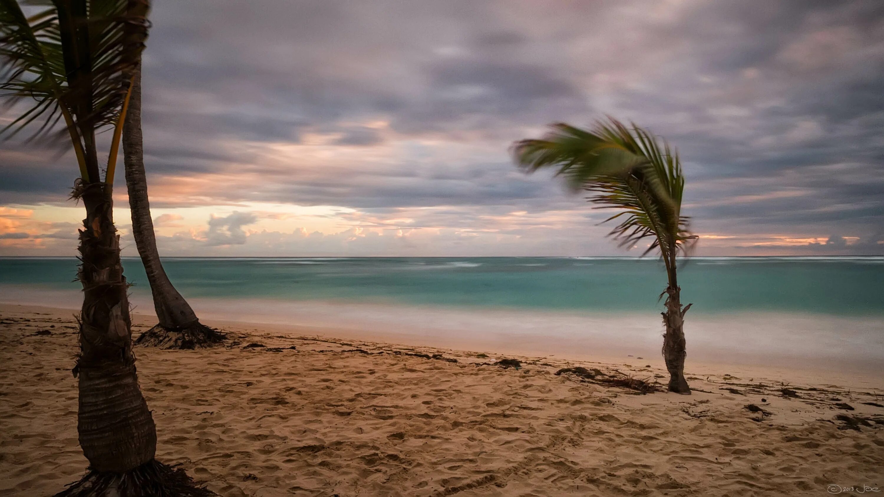 Море пляж пальмы. Берег моря пальмы. Пляж с пальмами. Море пальмы и песок.