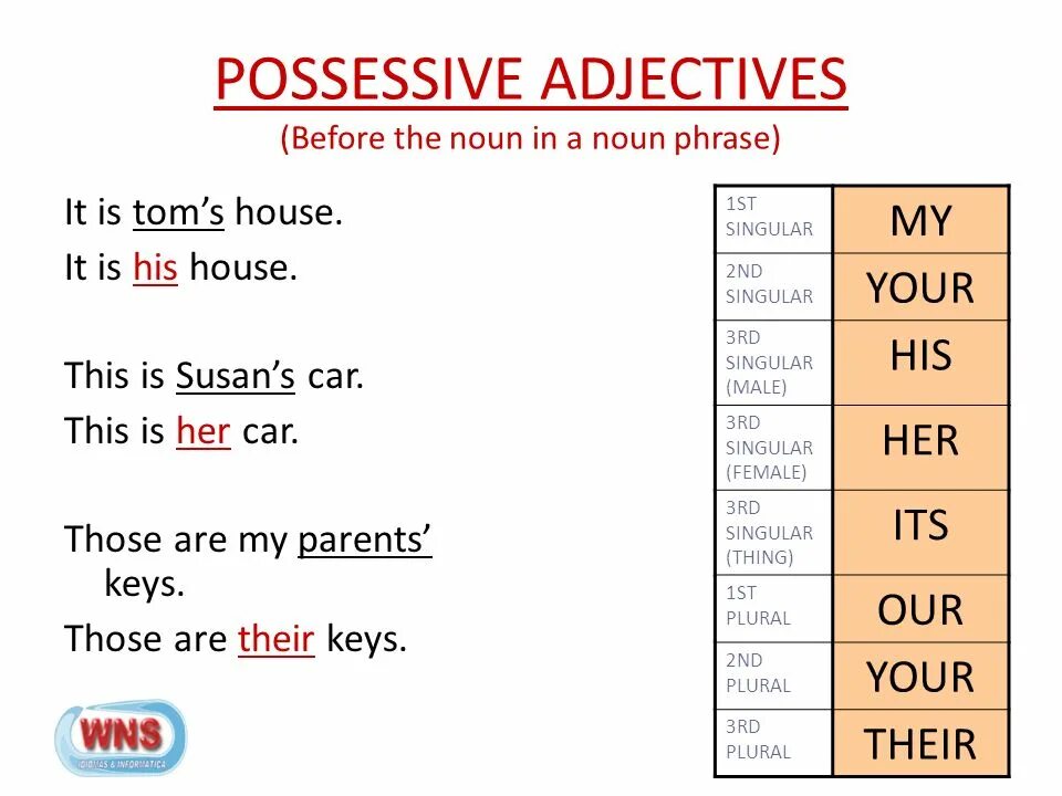 This is house it s number two. Possessive adjectives. Possessive adjectives таблица. Притяжательные местоимения в английском языке. Possessive pronouns в английском языке.