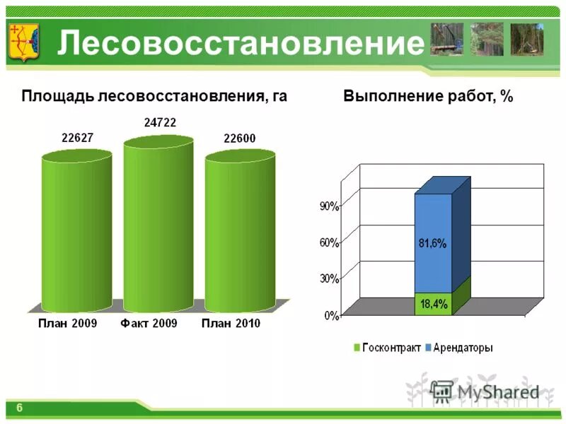 1024 лесовосстановление. Лесовосстановление схема. План лесовосстановления. Проект лесовосстановления. Лесовосстановление в России статистика.