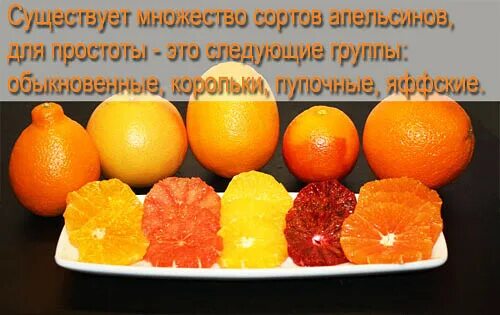 Апельсин килокалории. Калории в цитрусовых фруктах. Апельсин калории. Калорийность одного апельсина. Калории в апельсине 1 шт.