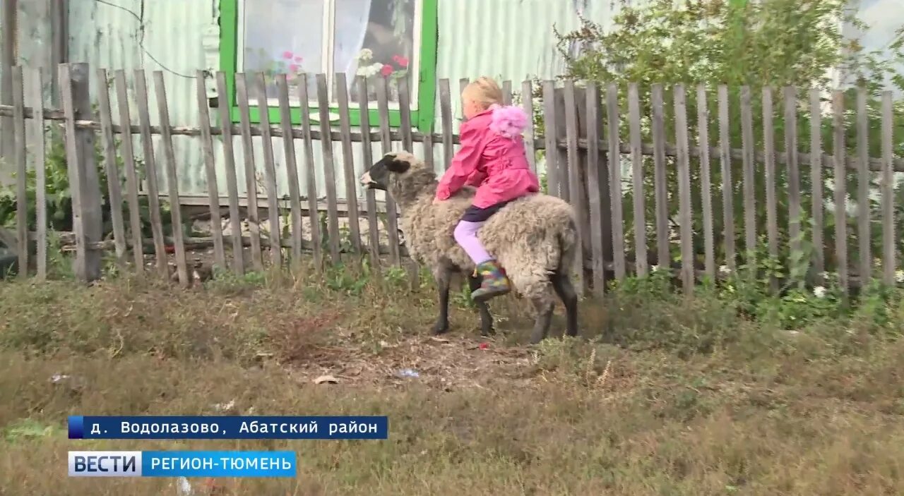 Погода в абатском тюменской на 10 дней. Водолазова Курганская область. Водолазово Тюменская область. Болдырево Абатский район. Водолазово Абатский район.