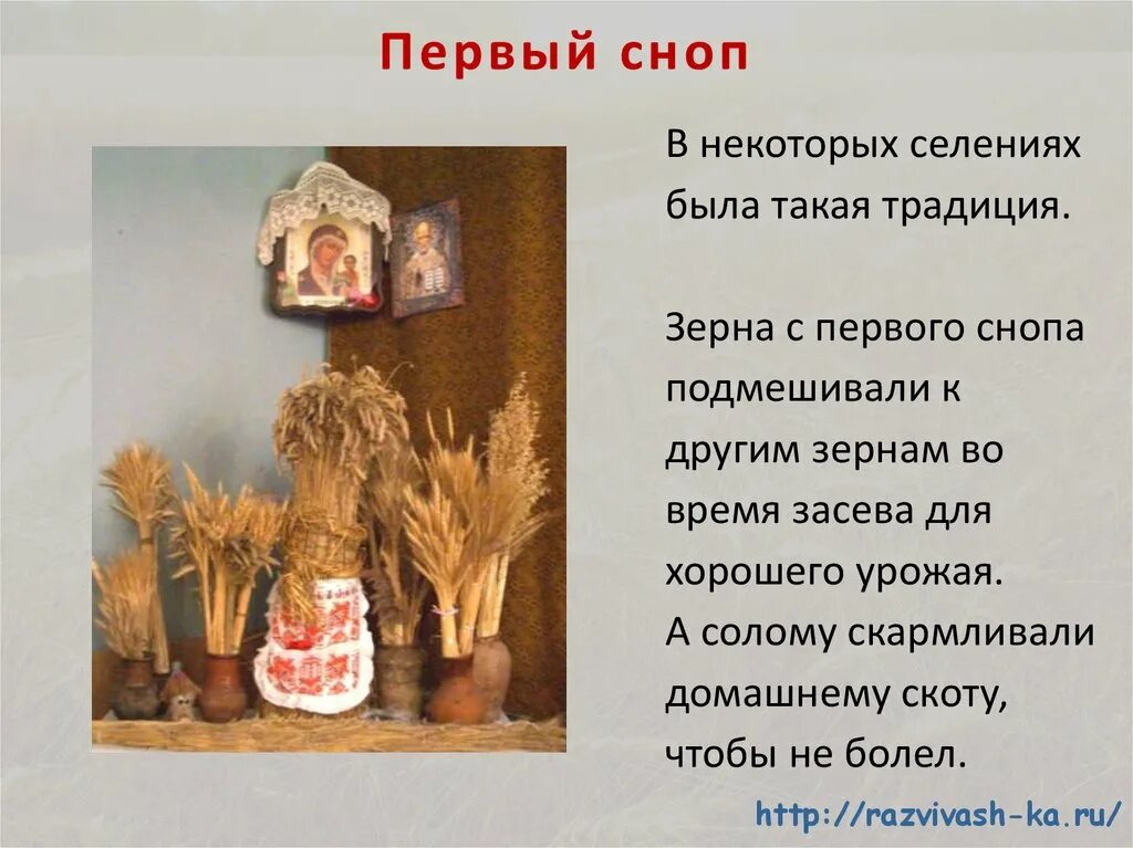 Толковое значение слова сноп. Толковое значение слова сноп