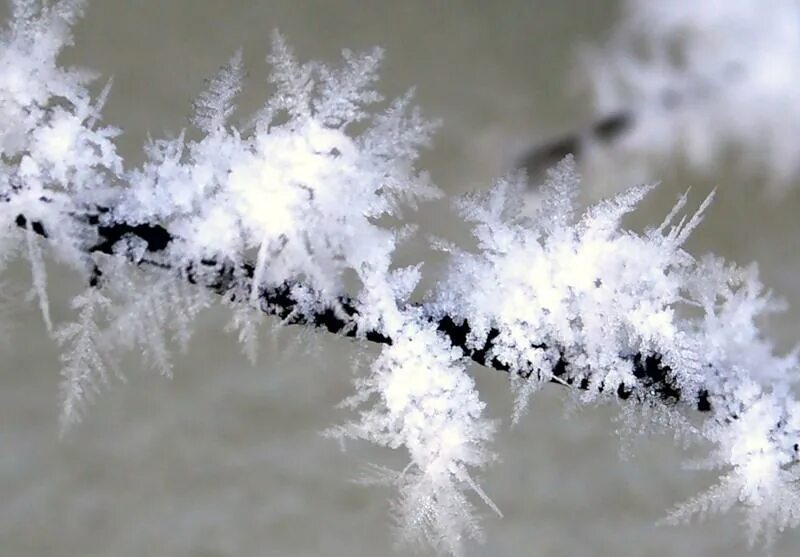 хлопья пушистого снега падали. снежинки в воздухе. снежок фото. снежные хлопья для детей. хлопья пушистого снега падали.