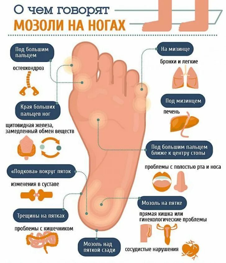 Поднаготная или подноготная