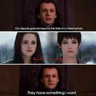 Who are they twilight