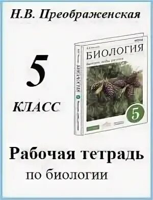 Стр 94 биология 5 класс ответы. Гдз по биологии 5 класс учебник. Биология 5 класс учебник Пасечник ответы. Рабочая тетрадь Преображенская номер 3. Гдз по биологии 5 класс учебник Мансурова.