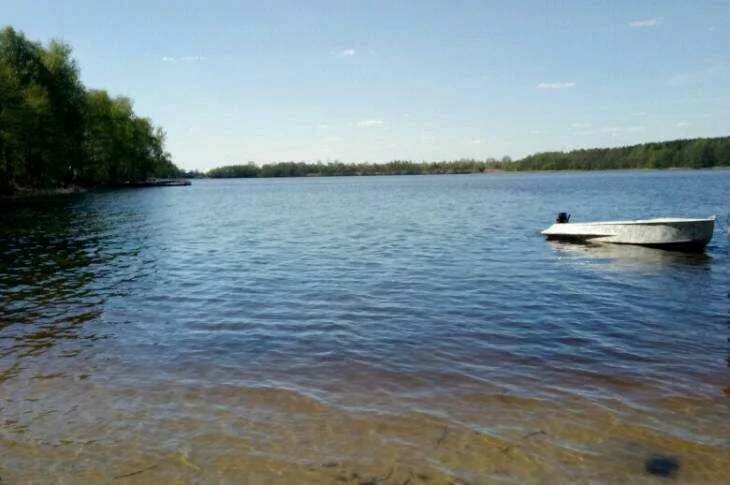 Озеро малькова. Выпуск молоди рыб. Озеро малькова. Горское озеро воейково. Озеро малькова.