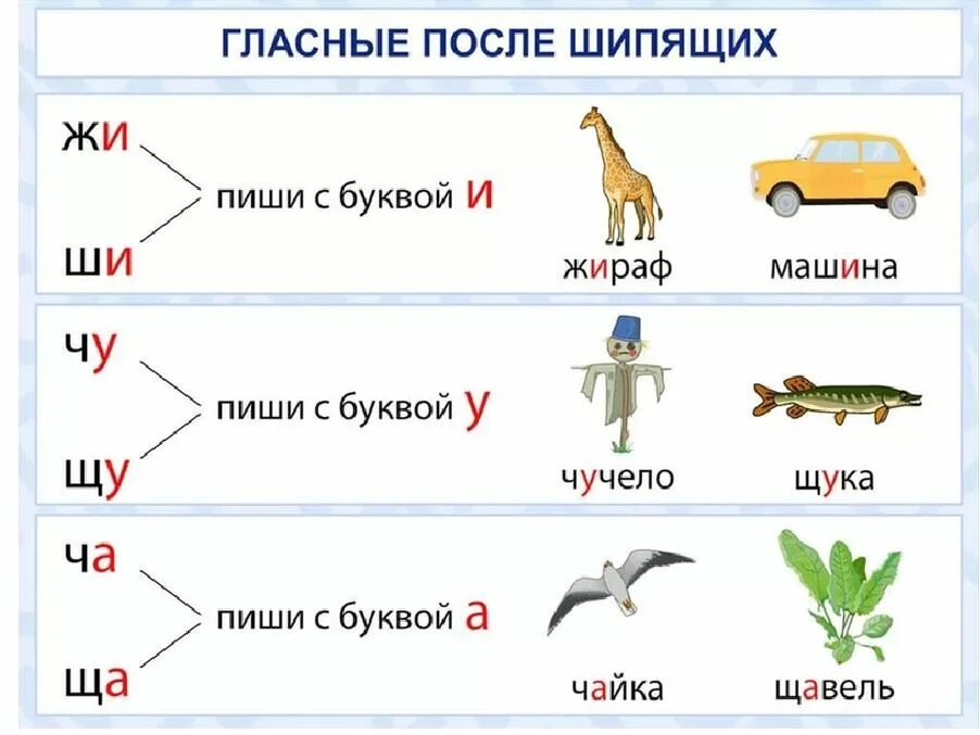 Правила русского языка 1 класс. Памятки по русскому языку 1 класс школа России. Правила памятка по русскому языку 1 класс. Правила по русскому языку 1 класс.