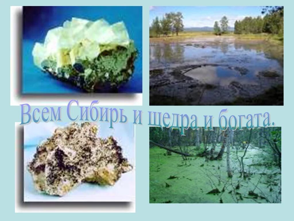 Сибирь богата природными ресурсами. Рисунки природных ресурсов Сибири. Природные ресурсы Сибири. Природные ресурсы Западной Сибири фото. Природные ресурсы Сибири презентация.