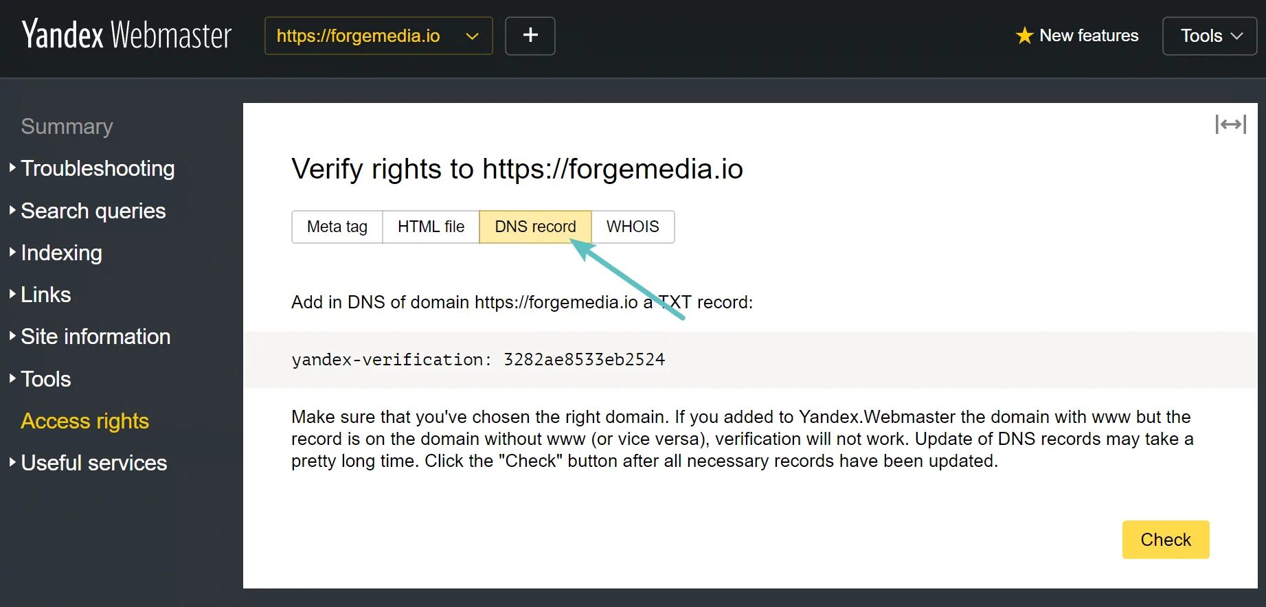 Тхт DNS. Добавьте в dns домена