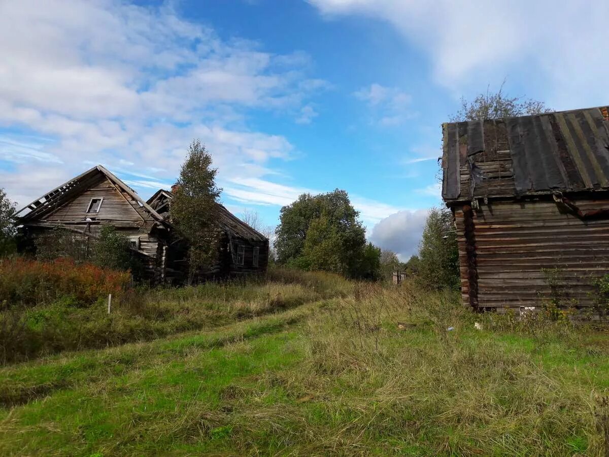 Деревня россия новгородской области. Опустевшие деревни в Новгородской области. Тидворье Новгородской области. Заброшенные деревни Новгородской области Марёвский район. Деревня Тидворье в Новгородской области.