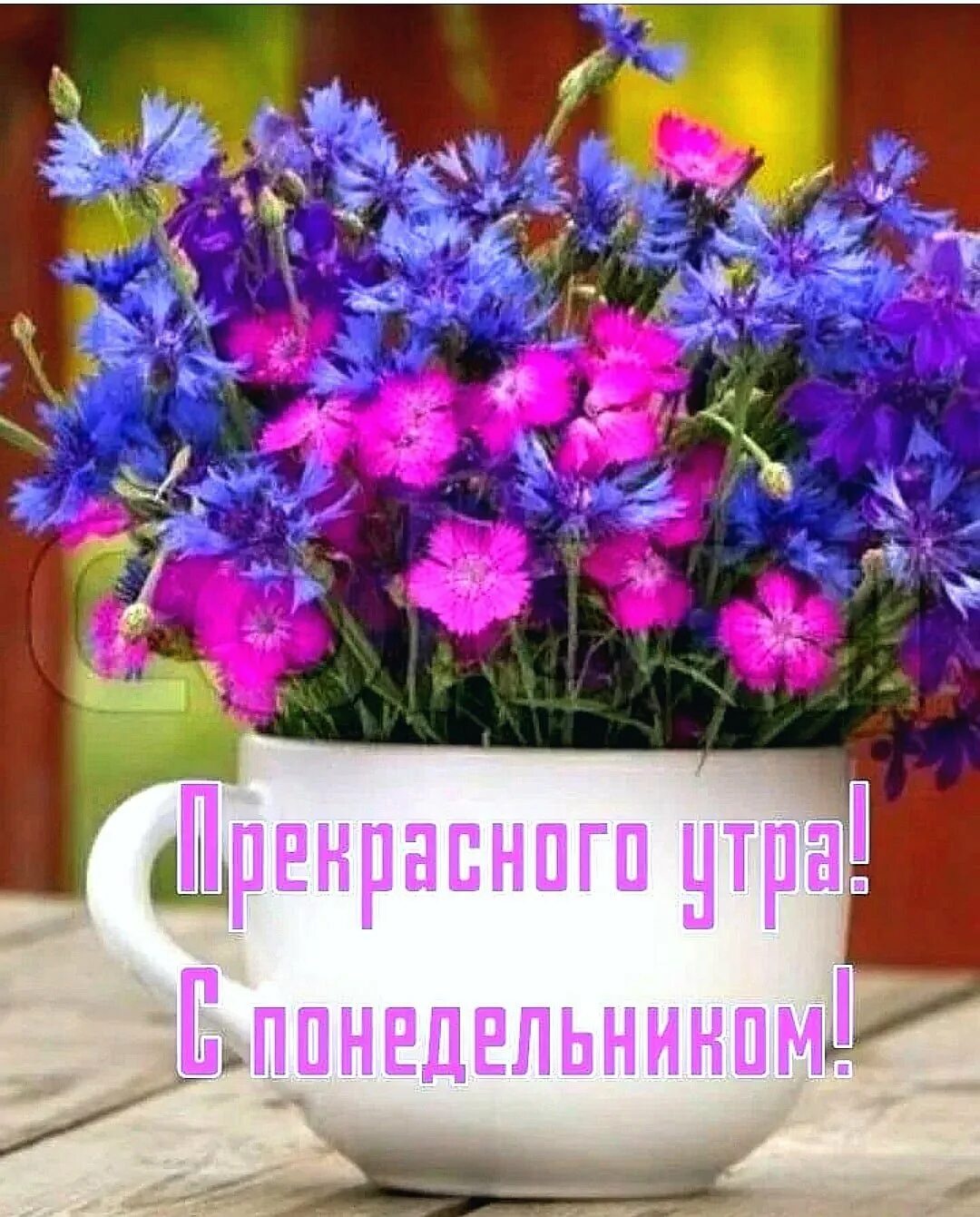 Доброе утро отличного понедельника. Цветы понедельник.. Хорошего настроения и удачного дня цветы. Утро понедельника. Прекрасной недели.