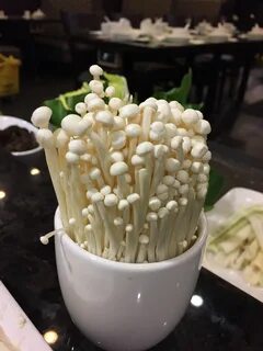 Грибы эноки