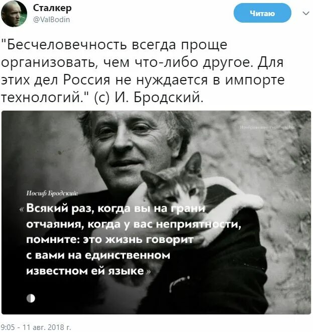 Если бы я не любил поэзию бродского. Иосиф Бродский. Стихи Бродского. Бродский стихи фото. Бродский стихи в картинках.