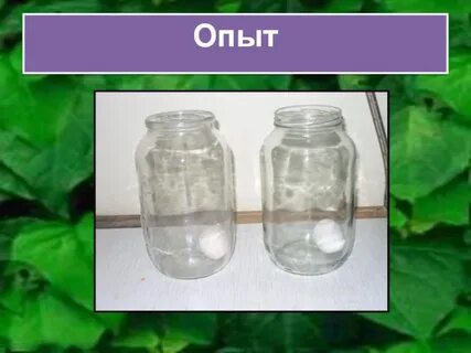 Опыт 0