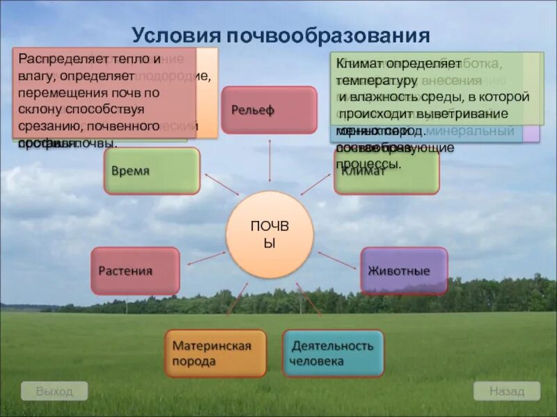 Условия формирования почв. Условия ПОСВО образования. Факторы почвообразования схема. Условия почвообразования. Почвы формируется в условиях избыточного увлажнения