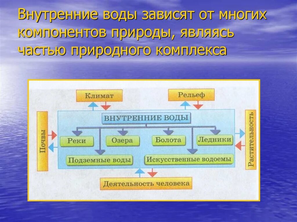 Внутренние воды схема. Схема внутренние воды России. Внутренние воды презентация. Взаимосвязь внутренних вод с другими компонентами природы.