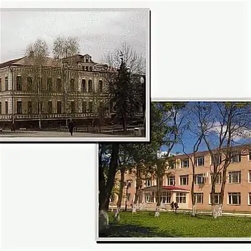 Колледж солнцева