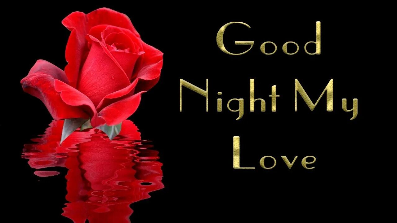 Good night my. Good Night my Love. Good Night my Love картинки. Открытки good Night my Love. Гиф good Night my Love.