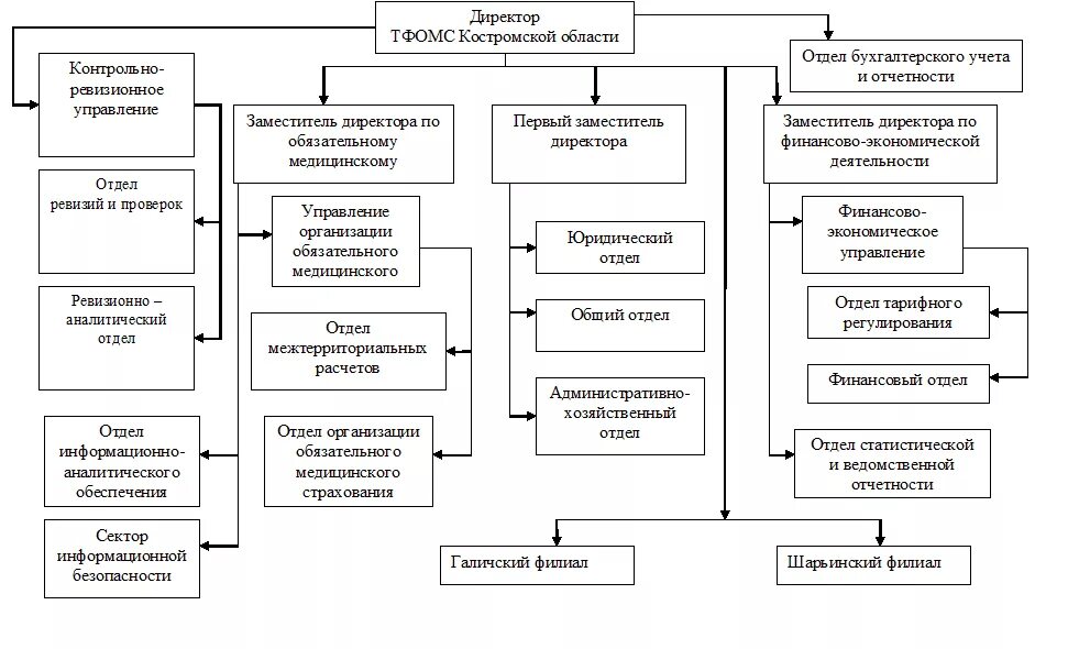 Структура фонда обязательного медицинского страхования. Структура территориального ФОМС. Структура контрольно ревизионного отдела. Структура контрольно ревизионного управления. Сайт курского тфомс